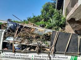 Property Management Cleanouts in Herald, CA